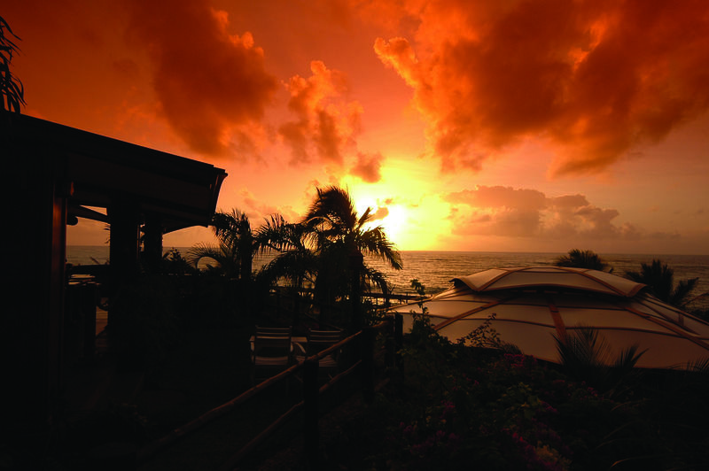 Leopard Beach Diani Beach Exterior foto